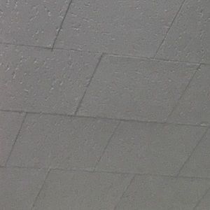 Meet your Posher, Evelyn